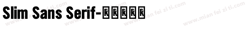 Slim Sans Serif字体转换